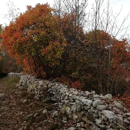 Apartment Apartma Hisa Pliska Pliskovica