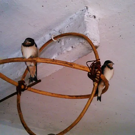 Apartman Apartma Hisa Pliska *