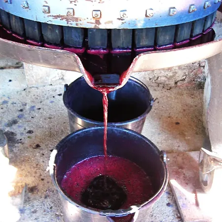 Apartma Hisa Pliska * Pliskovica