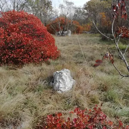 Apartma Hisa Pliska Apartman