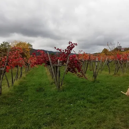 Apartman Apartma Hisa Pliska Pliskovica