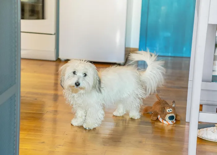 Apartma Hisa Pliska דירה *