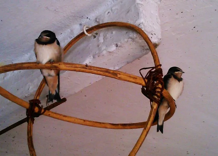 Lejlighed Apartma Hisa Pliska *