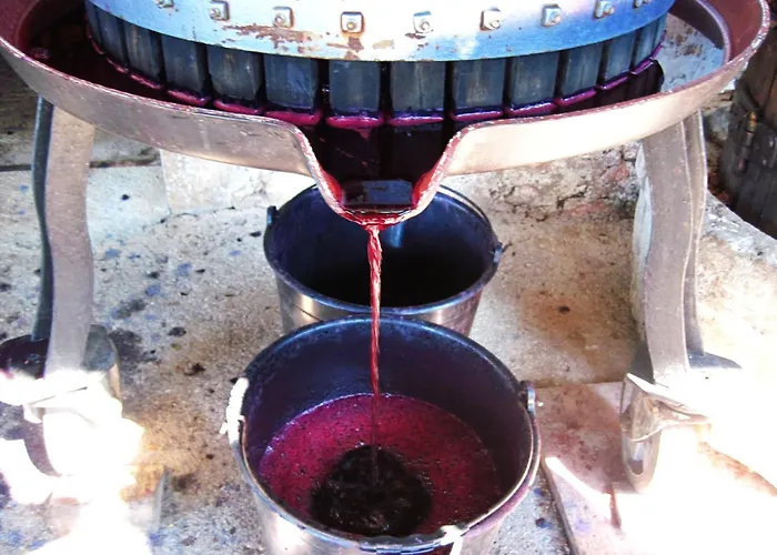 Apartma Hisa Pliska * Pliskovica