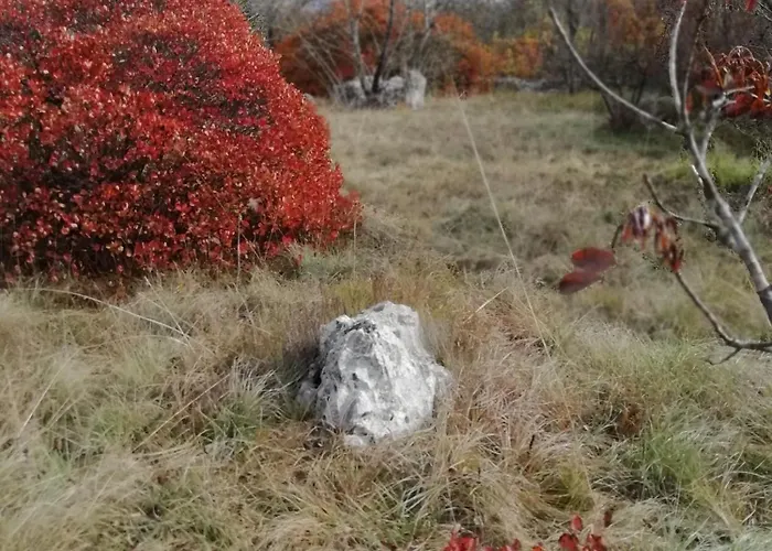 Apartma Hisa Pliska דירה