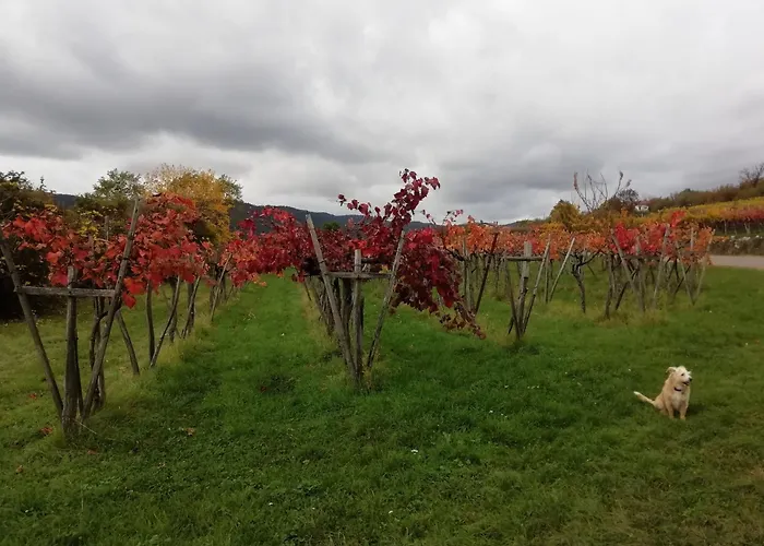 Daire Apartma Hisa Pliska Pliskovica